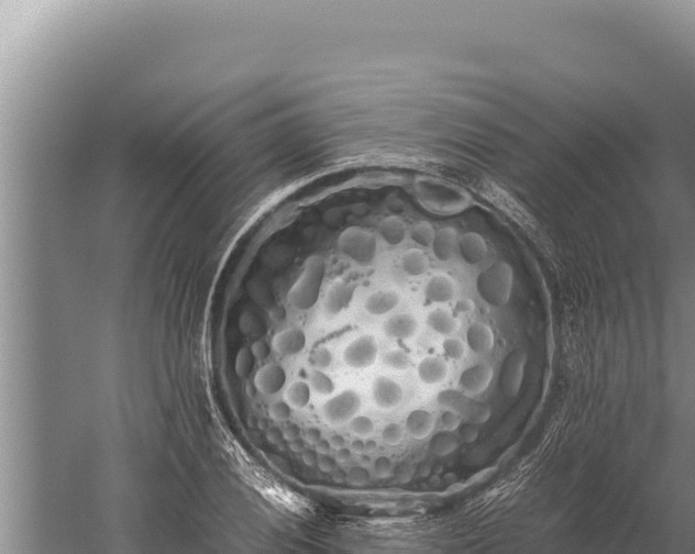 X0000059801028200510281633