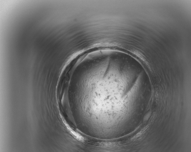 X0000059801030200510281633