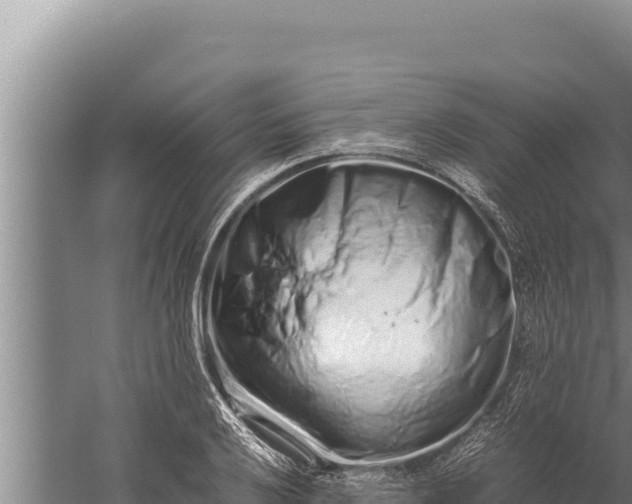 X0000059801032200510281633