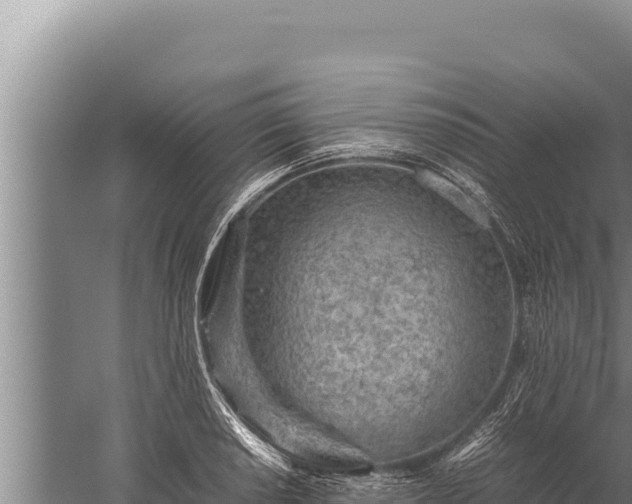 X0000059801034200510281633