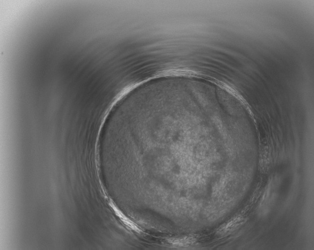 X0000059801037200510281633