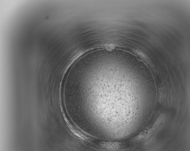 X0000059801039200510281633