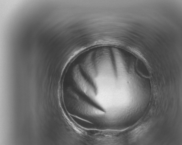 X0000059801040200510281633