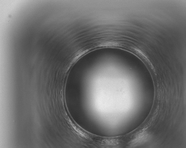 X0000059801041200510281633