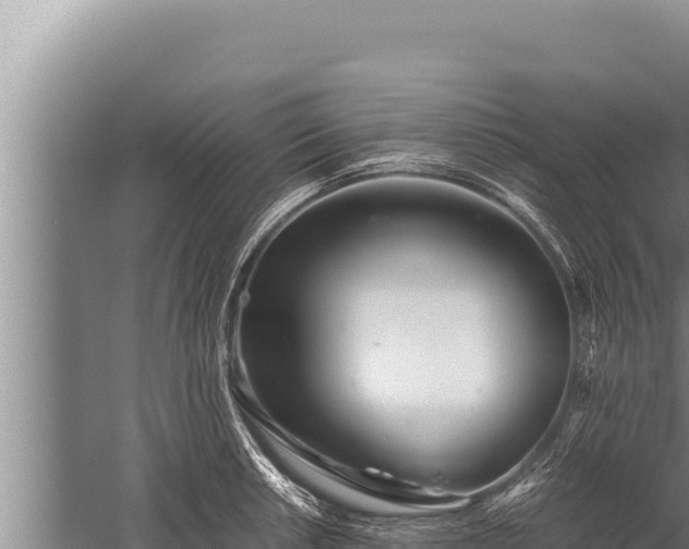 X0000059801042200510281633