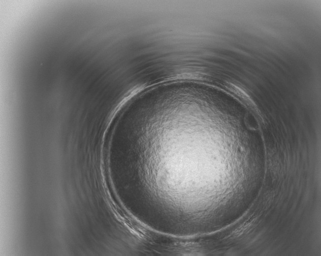 X0000059801043200510281633