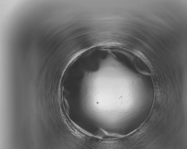 X0000059801044200510281633