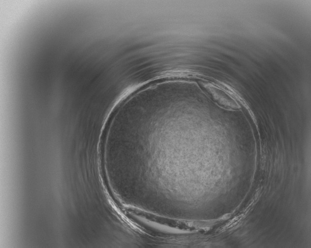 X0000059801045200510281633