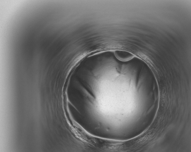 X0000059801047200510281633