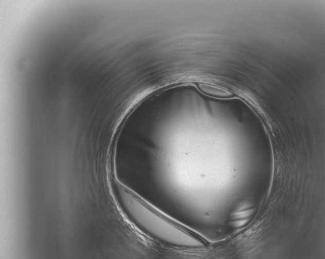 X0000059801048200510281633