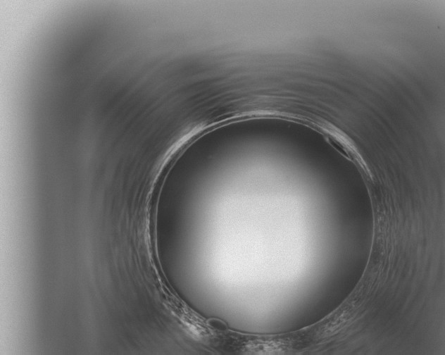 X0000059801051200510281634