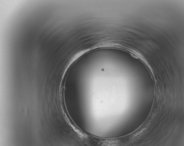 X0000059801053200510281634