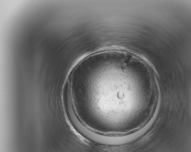 X0000059801054200510281634