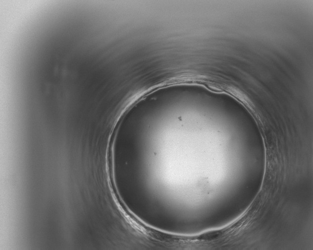 X0000059801055200510281634