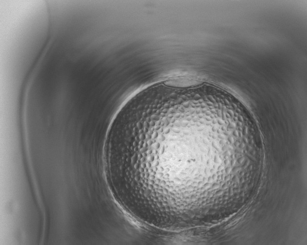 X0000059801056200510281634