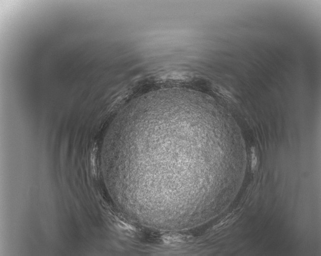 X0000059801059200510281633