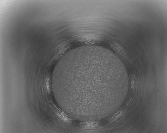 X0000059801060200510281633