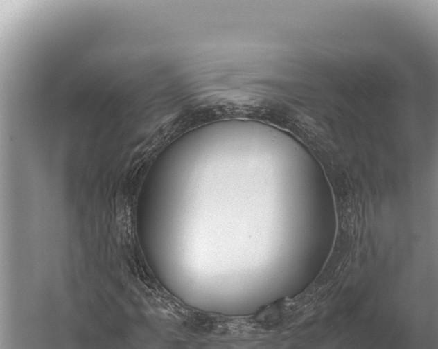 X0000059801061200510281633