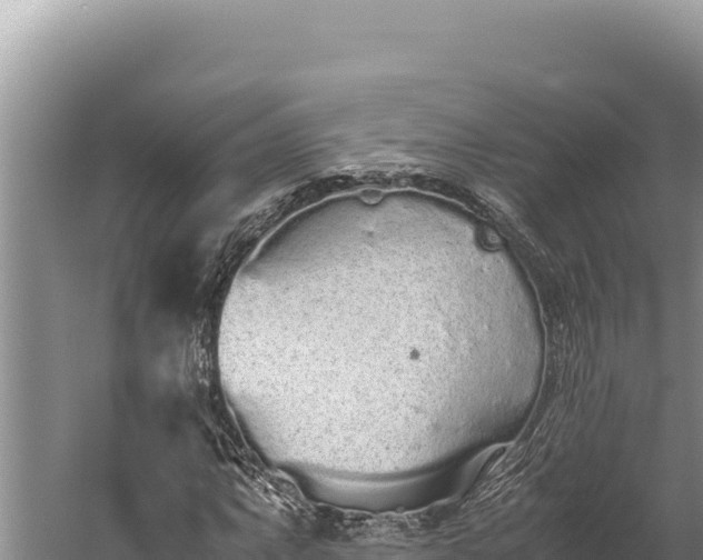 X0000059801063200510281633