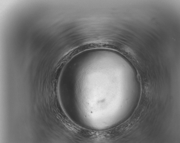 X0000059801064200510281633