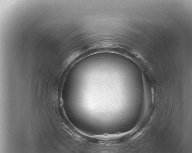 X0000059801065200510281633