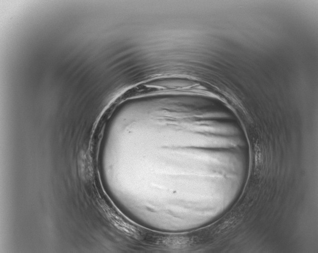 X0000059801068200510281633