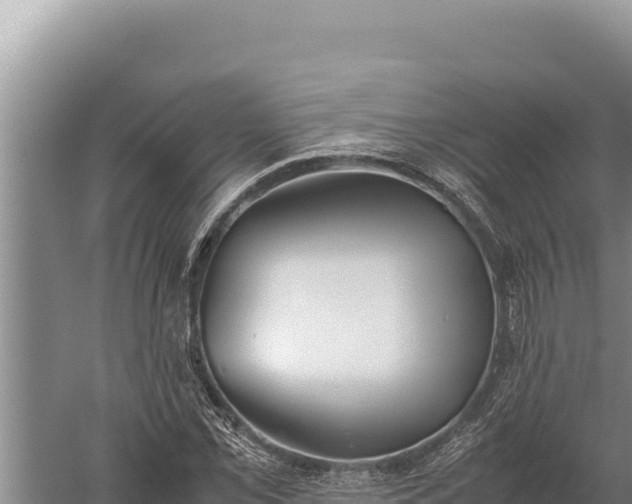 X0000059801069200510281633