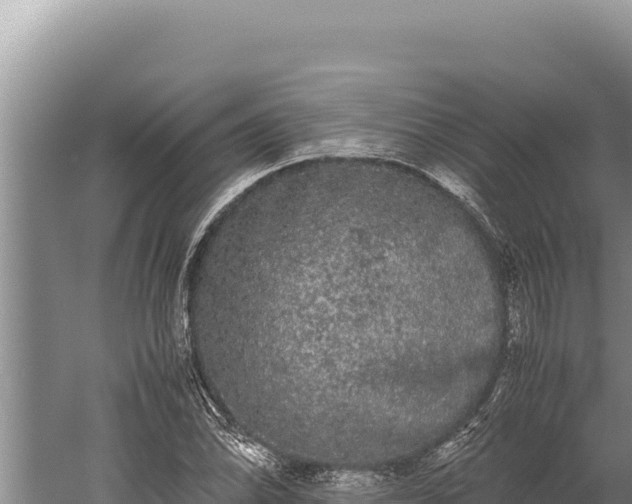 X0000059801070200510281633