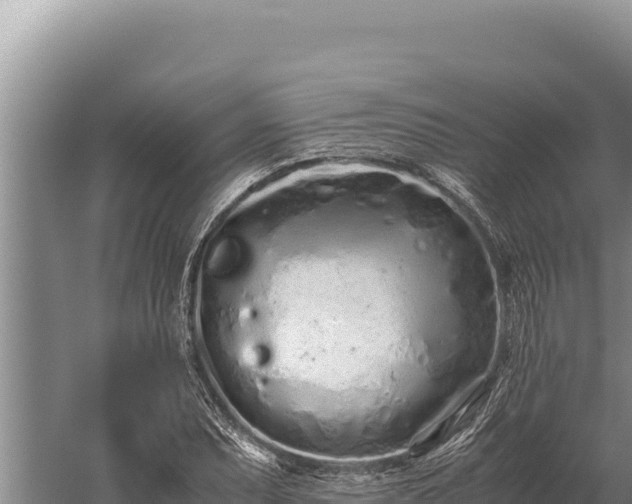 X0000059801071200510281633