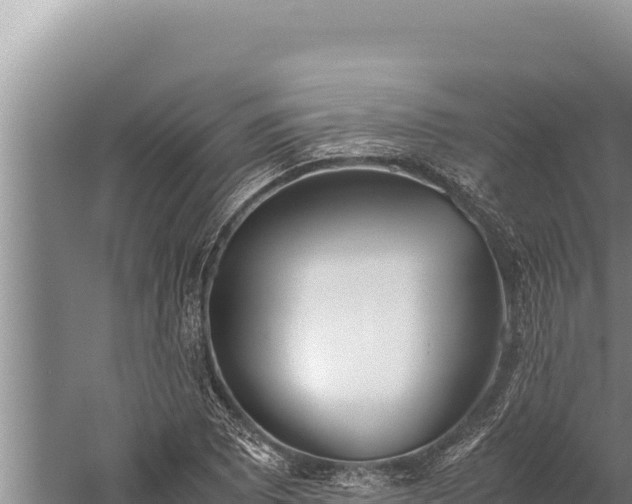 X0000059801073200510281632