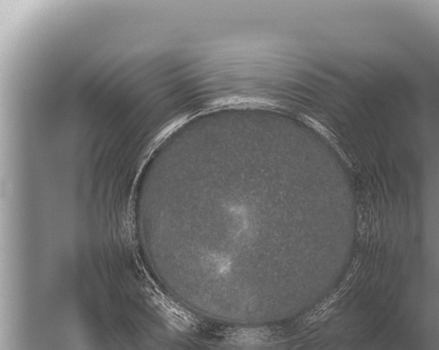 X0000059801074200510281632