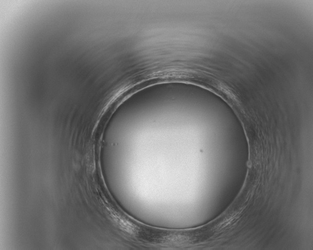 X0000059801075200510281632