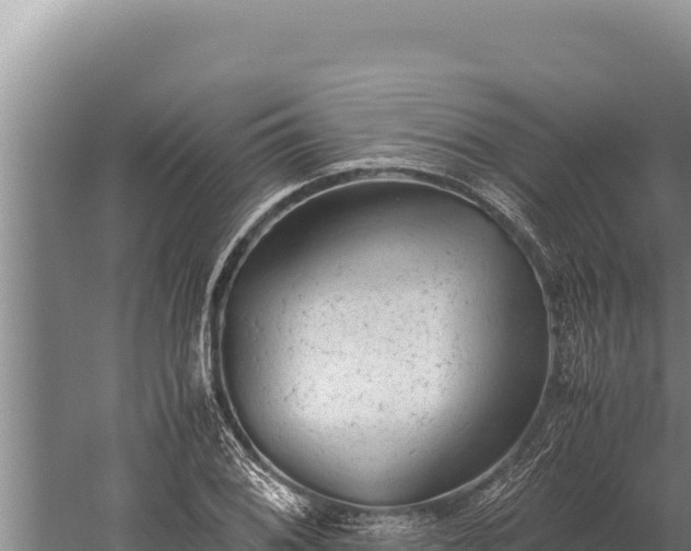 X0000059801076200510281632