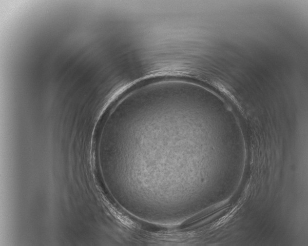 X0000059801077200510281632