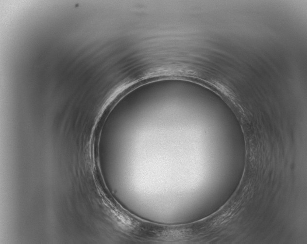 X0000059801078200510281632