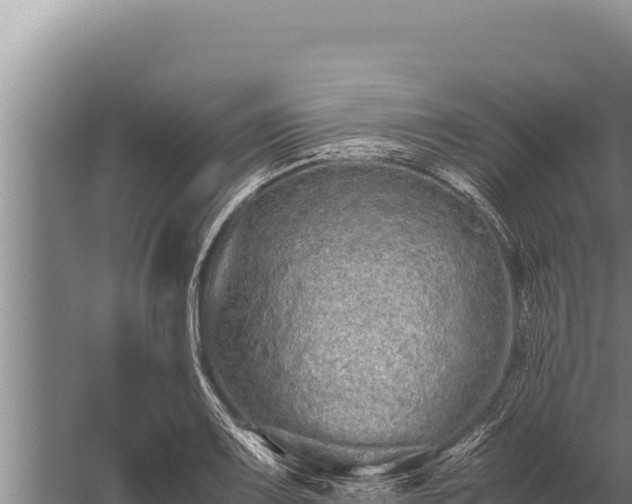 X0000059801083200510281632