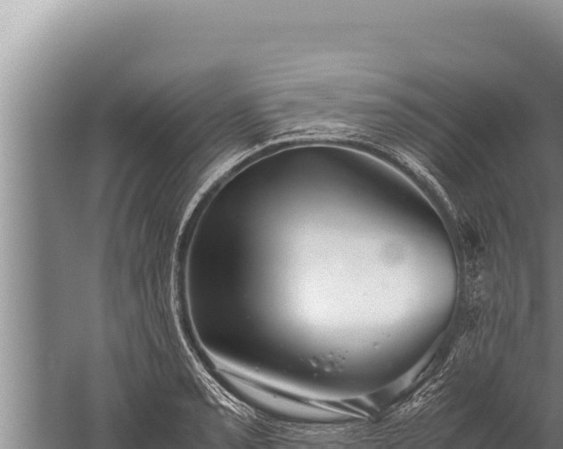 X0000059801085200510281632