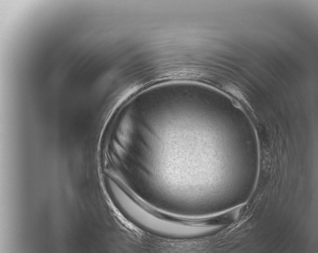 X0000059801087200510281632