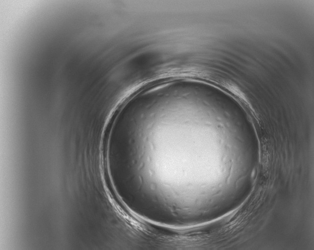 X0000059801088200510281632