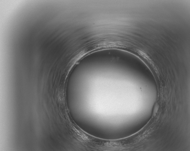 X0000059801089200510281632