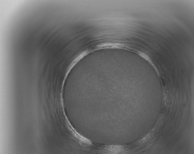 X0000059801090200510281632