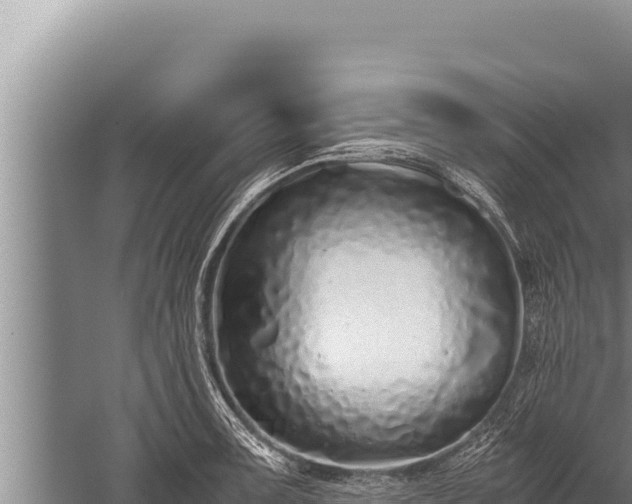 X0000059801091200510281632