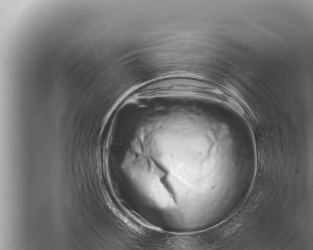 X0000059801092200510281632