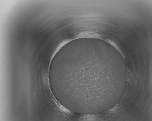 X0000059801094200510281632