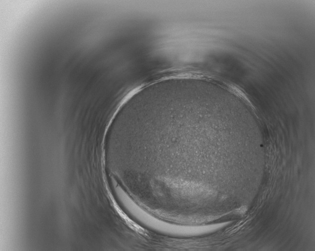 X0000059801095200510281632