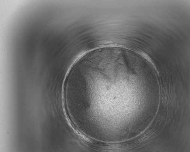 X0000059801096200510281632