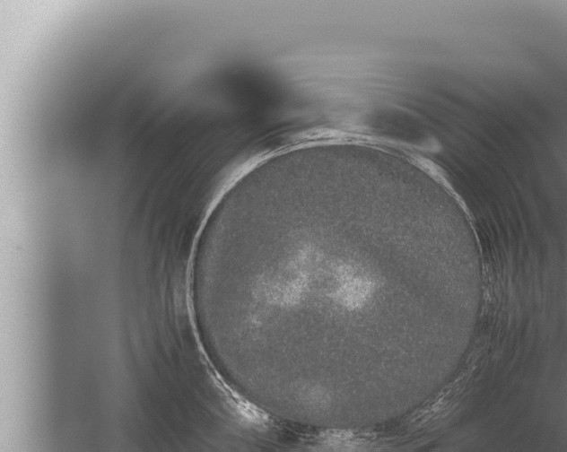 X0000059801098200510281632