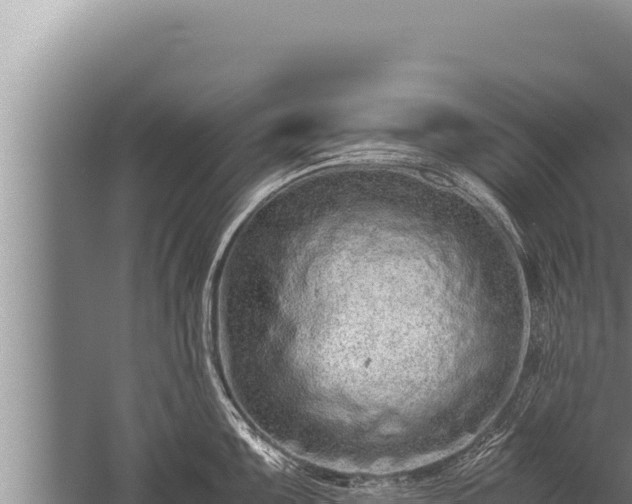 X0000059801099200510281632