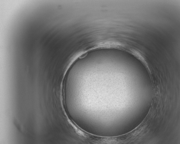 X0000059801103200510281632