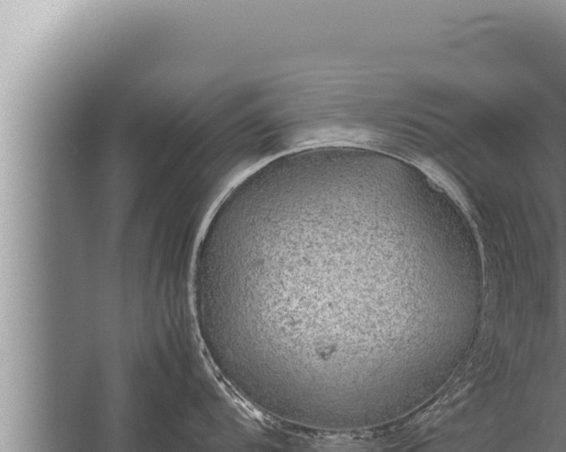 X0000059801104200510281632